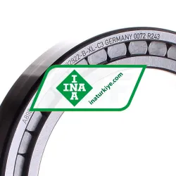 INA SL182922-B-XL-C3 rulman resim 2