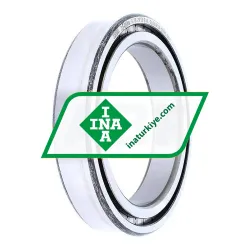 INA SL182913-B-XL rulman resim 2