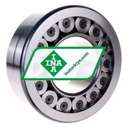 INA SL192318-TB-XL-C3 rulman resim 2