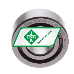INA SL183004-A-XL-C3 rulman resim 2