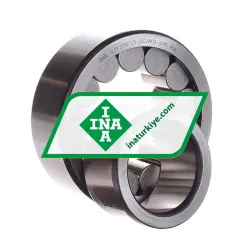 INA SL192310-C3 rulman resim 3