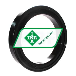 INA SL182934-B-XL-BR-C3 rulman resim 2