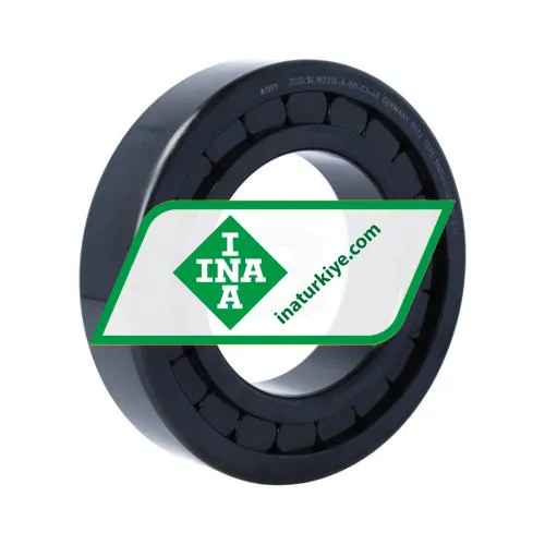 INA SL182216-A-BR-C3-4S