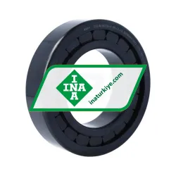 INA SL182216-A-BR-C3-4S