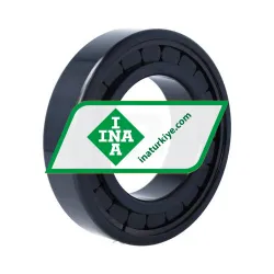 INA SL182216-A-BR-C3-4S rulman resim 2