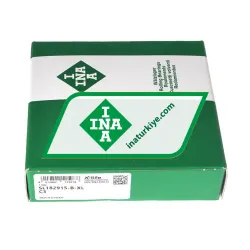INA SL182915-B-XL rulman resim 2