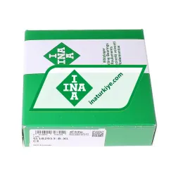 INA SL182913-B-XL-C3 rulman resim 2