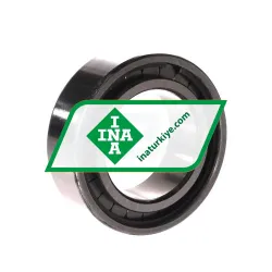 INA SL183009-A-XL rulman resim 2