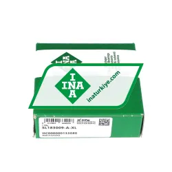 INA SL183009-A-XL rulman resim 3