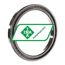 INA SL181838-A
