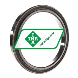 INA SL181838-A rulman resim 2