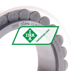 INA RSL183013-A-XL rulman resim 2
