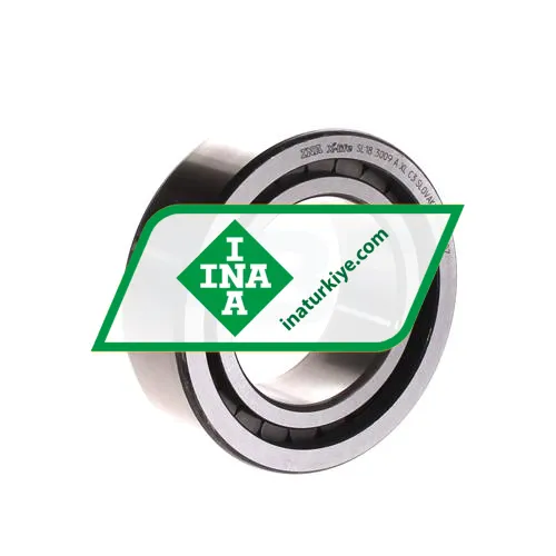 INA SL183009-A-XL-C3