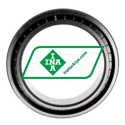 INA SL182919-B-XL-C3 rulman resim 2