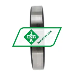 INA SL182919-B-XL-C3 rulman resim 4