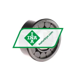 INA SL192308-C3 rulman resim 1