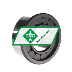 INA SL192313 rulman resim 2