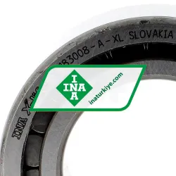 INA SL183008-A-XL rulman resim 3