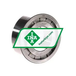 INA F-207813-NUP