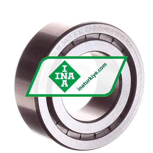 INA SL183005-A-XL-C3