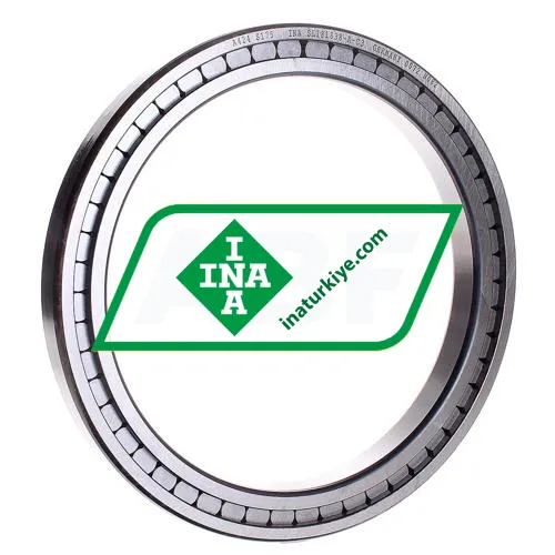 INA SL181838-A-C3