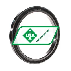 INA SL181836-A-C3 rulman resim 2