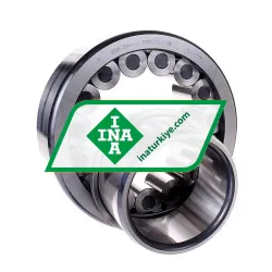 INA SL192319-TB-XL rulman resim 2