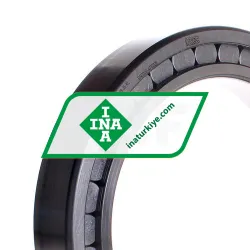 INA SL182938-B-XL rulman resim 2