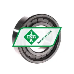 INA SL182209-A-XL rulman resim 2
