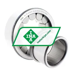 INA SL192309 rulman resim 2