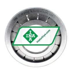 INA SL192309 rulman resim 3