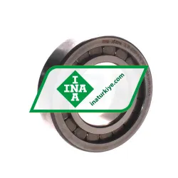 INA SL182209-A-XL-2S
