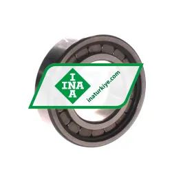 INA SL182209-A-XL-2S rulman resim 2