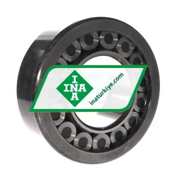 INA SL192319-TB-XL-C3 rulman resim 2