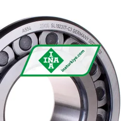 INA SL192317-C3 rulman resim 2