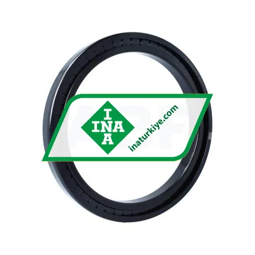 INA SL181838-A-BR