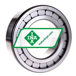 INA SL182220-A rulman resim 2