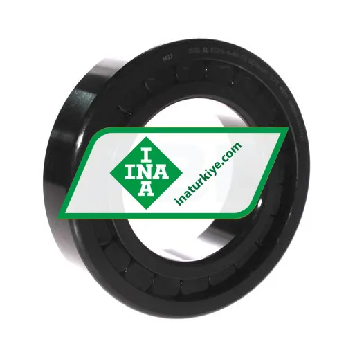INA SL182216-A-BR-C3