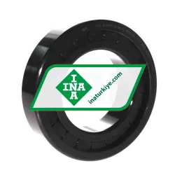 INA SL182216-A-BR-C3