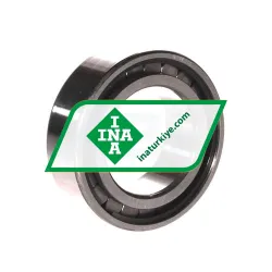 INA SL18-3008A rulman resim 2