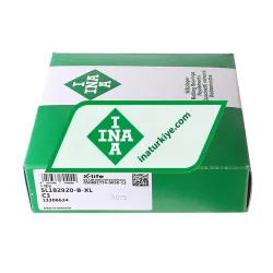 INA SL182920-B-XL-C3 rulman resim 3