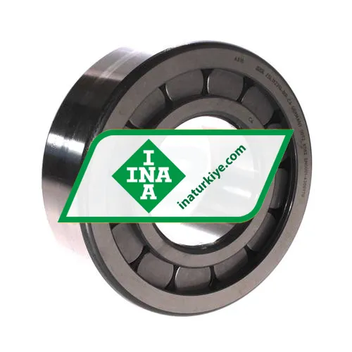 INA ZSL192314-BIR-C4