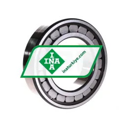 INA SL18-2216A C3 rulman resim 2