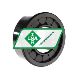 INA SL192315C3 rulman resim 2