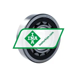 INA NJ315-E-XL-TVP2-C4