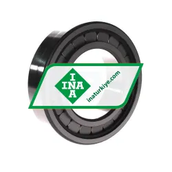 INA SL182218-A-XL-C3 rulman resim 2