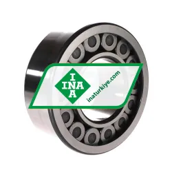 INA SL19-2316C3 rulman resim 2
