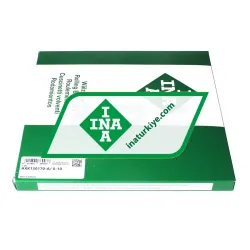 INA SL045007-2Z rulman resim 2