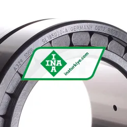 INA SL185020-A rulman resim 2