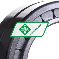 INA SL185022-A-C3 rulman resim 2